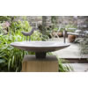 Birdbath